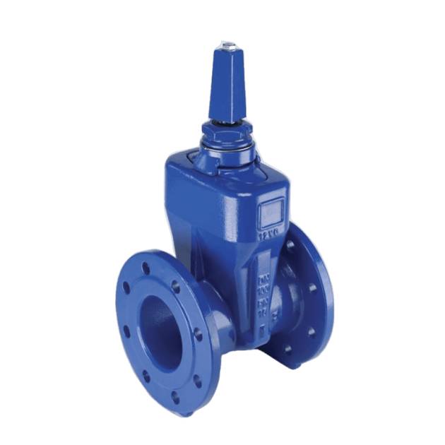 Euro 20 tipo 23 compuerta bridada