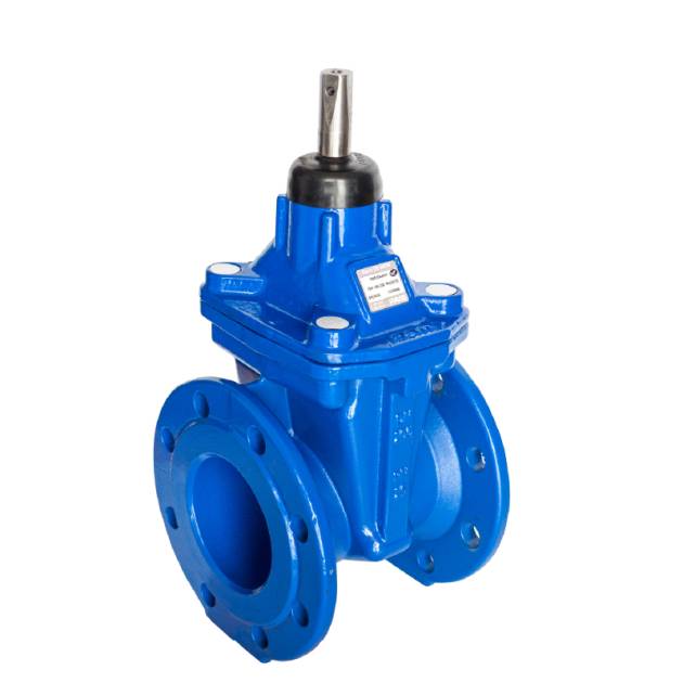 Válvula compuerta bridada modelo GTW